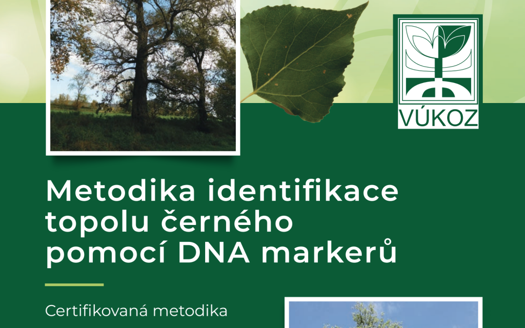 Metodika identifikace topolu černého pomocí DNA markerů